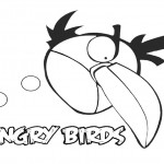 Angry Birds 10