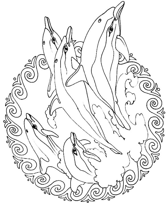 ausmalbilder mandala delfin  imagui