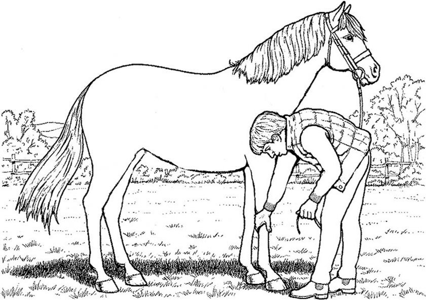 Ein Mann Pflege eine Pferd